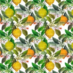 Gardintyger Mönstrade|Arvidssons Textil<Arvidssons textil Citrus offwhite tyg – Ljus elegans med citrusdetaljer