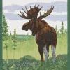Kökshandduk<Ekelund Moose kökshandduk 35X50 - s Linneväveri